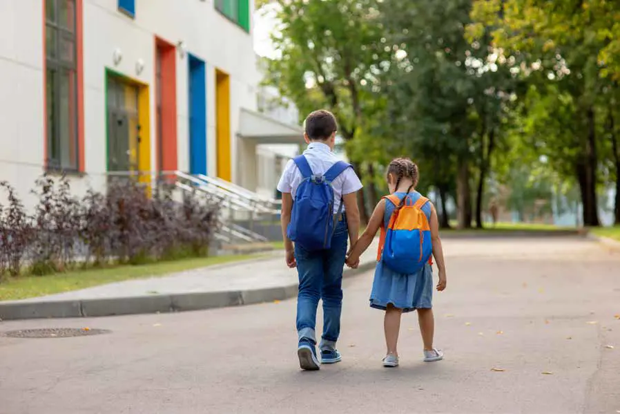 Sarjapur -  Schools & Colleges